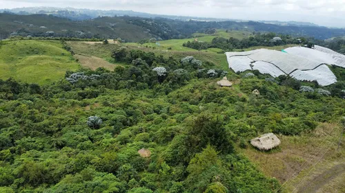 Lote En Venta Vía Armenia