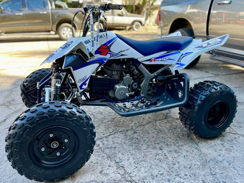 Imagen 7 de 19 de Suzuki Ltr 450 2008
