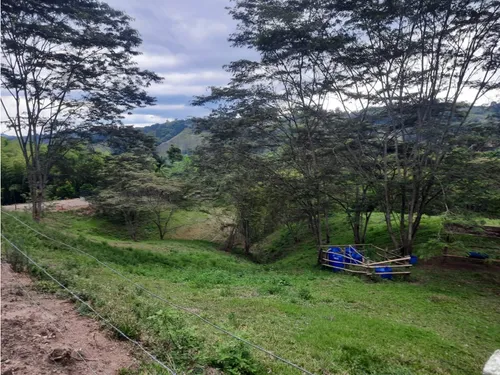 Venta Finca La Tebaida Cultivada En Pasto - 40 Cuadras