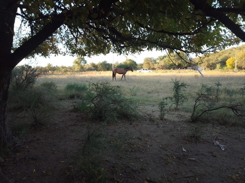 Imagen 14 de 28 de T056pa Amplios Terrenos De 1.350 M2 En Panaholma, A 300 Mts Del Río