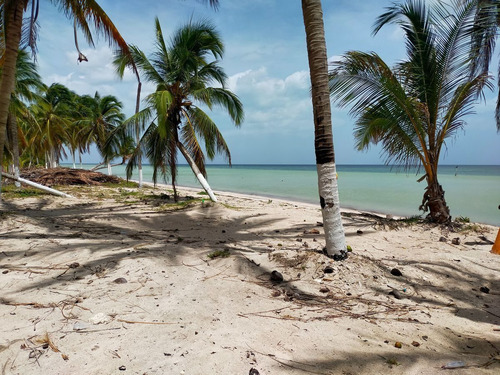 Imagen 18 de 23 de Playales, Venta De Terrenos Premium En Telchac Con Casa Club