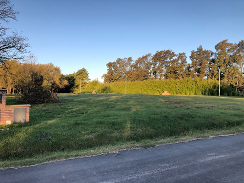 Imagen 6 de 9 de Altos De San Antonio, Lote 9 Mz E.