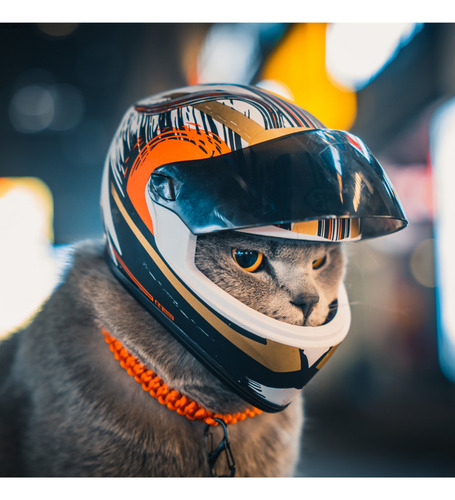 Cascos For Mascotas Hechos A Mano, Cascos For Gatos, Cascos