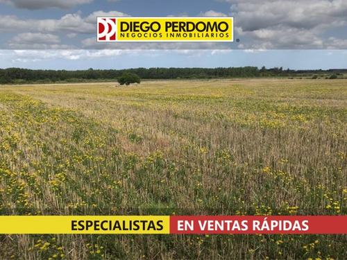 Campo En Venta 42 Has, San José De Mayo