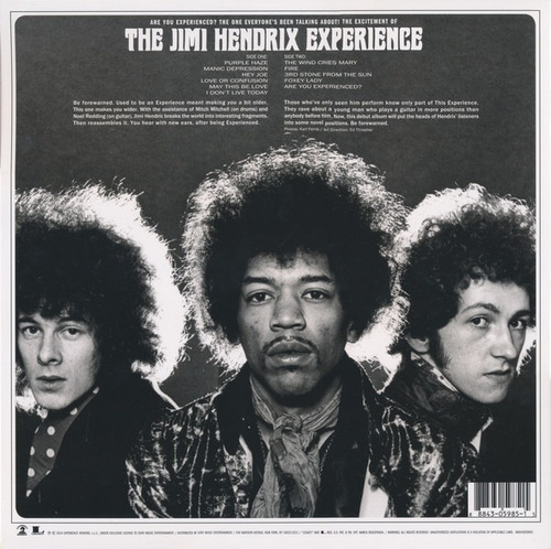 Jimi Hendrix Are You Experienced Vinilo 180 Gramos