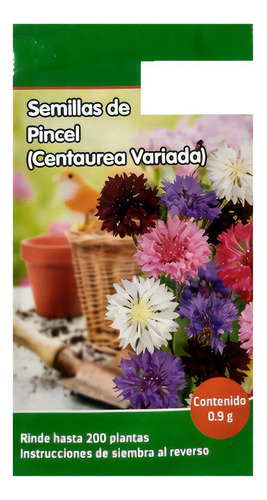 Semillas De Pincel Centaurea Variada