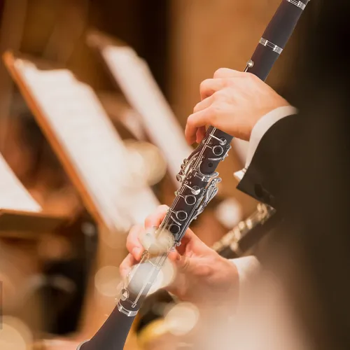 Clarinete Profesional De Viento De Madera Para Estudiantes D