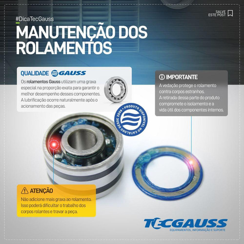 Rolamento De Esferas Gr6202 Gauss