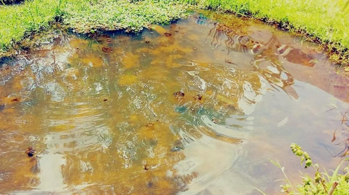 Imagem 6 de 7 de Chácara Para Venda Em Itapecerica Da Serra, Mombaça, 2 Dormitórios, 2 Banheiros, 4 Vagas - 433_2-853564
