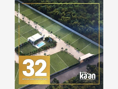 Imagen 1 de 12 de Terreno En Venta Temozon Norte