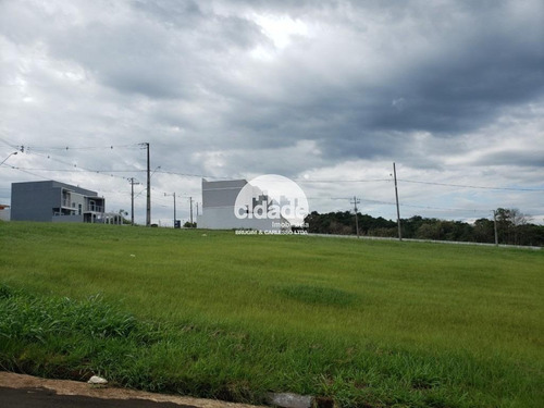 Imagem 3 de 10 de Terreno À Venda, Universitario - Cascavel/pr - 11239