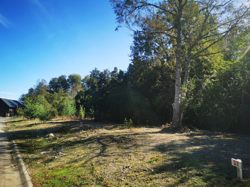 Imagen 9 de 20 de Condominio La Nueva Puntilla De Villarrica
