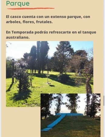 Campo 78 Hectareas Miramar 75% Cultibable Y Ganadero