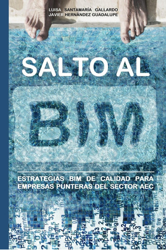 Libro: Salto Al Bim: Estrategias Bim Calidad Empresa