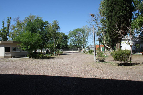 Bodega - Mendoza