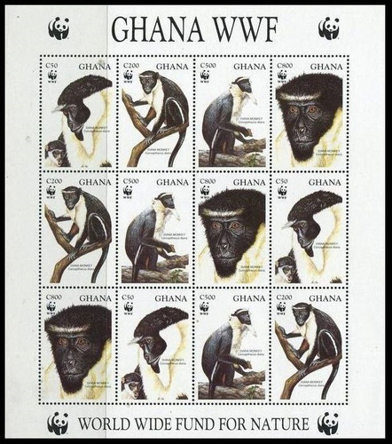 Fauna - Wwf - Mono Diana - Ghana - Hojita Mint