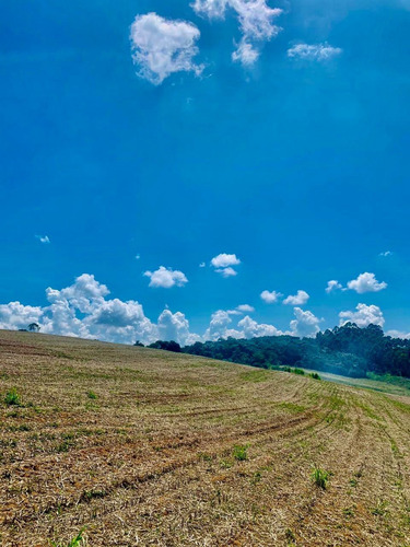 Imagem 3 de 5 de Compre Aqui Seu Lote De 500m2 E Realize Seu Sonho 01