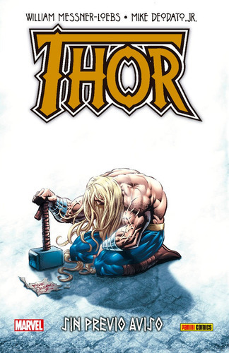 Thor 02: Sin Previo Aviso, De Messner-loebs, William. Editorial Panini Comics, Tapa Dura En Español