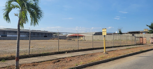 Imagen 5 de 6 de Se Alquila 17.000 M2 De Terreno Zona Industrial Barquisimeto
