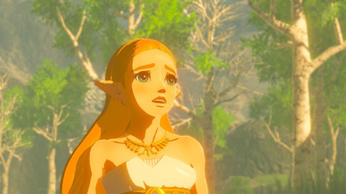 Legend Of Zelda Breath Of The Wild Nintendo Switch