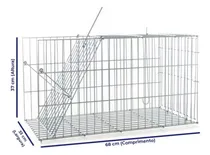 Comprar Armadilha Gatoeira Grande Gatos Dobravel Porta Automática