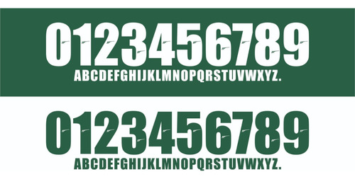 Tipografías Vectorizadas Palmeiras - Coleccion - Mail