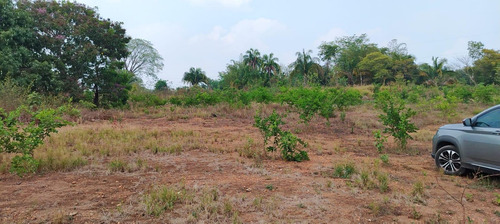 Terreno En Renta De Terreno A Pie De Carretera En Sebastopol Tuxtepec Oaxaca