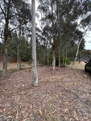 Imagen 5 de 5 de Lote En Costa Esmeralda Pinamar Senderos 3