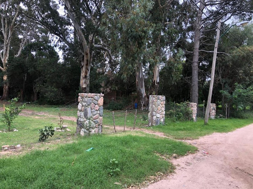 Terreno 4000 M2 En Venta En Villa Elena - Cortaderas