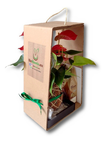 Imagen 2 de 2 de Arreglo Floral Kokedama | Anturio Natural Y Chocolates