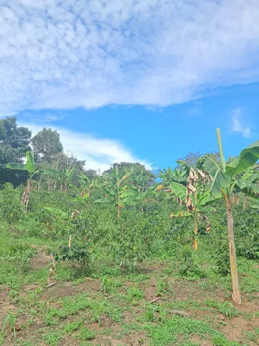 Finca En Restrepo Valle