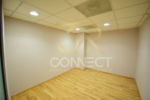 Oficina En Renta En Anzures 15c/3b/1e - Excelente Ubicación - 450m2
