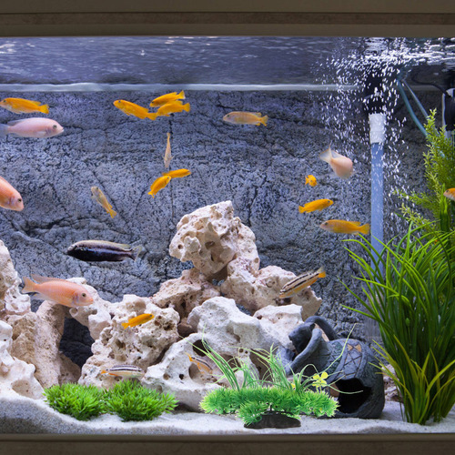 Simulación De Acuario, Pecera Acuática, Paisaje Artificial D