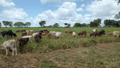 Hacienda-Finca en venta
