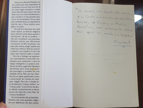 Livro Richard Dawkins - Deus, Um Delírio (Usado)