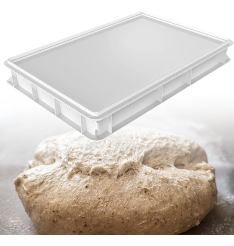 Caja Para Leudar, Bandeja Compatible 30 Cm X 40 Cm X 7,5 Cm