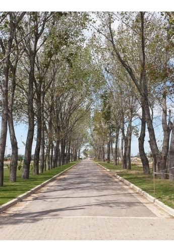 Imagen 5 de 6 de Venta Lote Terreno Barrio La Alameda Canning