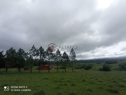Imagen 7 de 25 de Venta De Campo, Maldonado.campo De 41 Hectáreas, Próximo A Pueblo Edén - Pueblo Eden