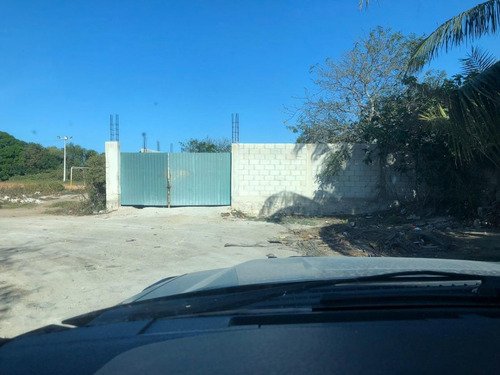 Imagen 3 de 16 de Terreno En Venta En Puerto Progreso, Yucatán