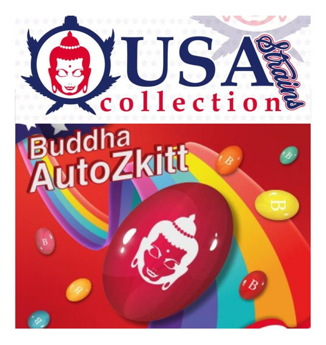 Buddha Auto Zkitt X3 Buddha Seeds