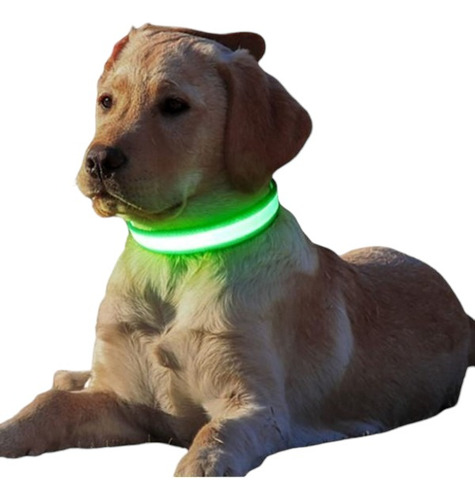 Kit 5 Collar Luz Led Luminoso Antipérdida Perros Y Cachorros