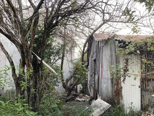 Imagen 4 de 4 de Terreno En Venta Populares
