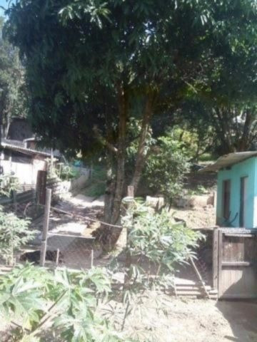 Imagem 5 de 5 de Terreno - Batistini - Ref: 1337 - V-3444