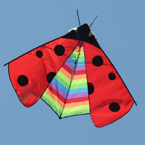 Triangle Ladybug Kite Fly Kite Easy Control Delta Kite Para