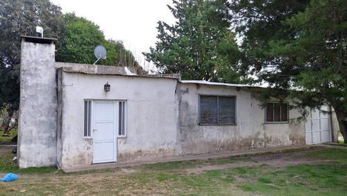 Imagen 6 de 14 de Granja De Pollos En Venta - Villa Mantero