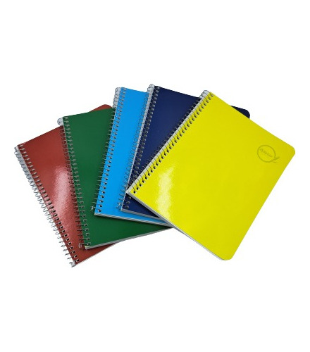 Cuaderno Libreta Forma Francesa Cuadro Grande Rayter 5pz100h