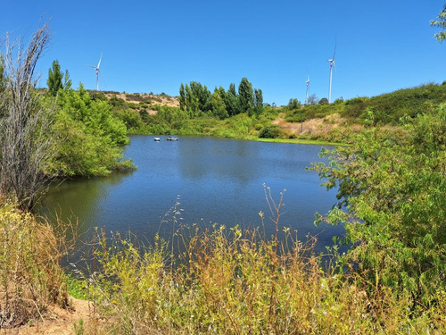 Se Vende Campo En Litueche Con 5 Tranques Y 2 Vertientes