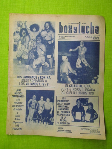 Revista Box Y Lucha N°1991 Año 1991