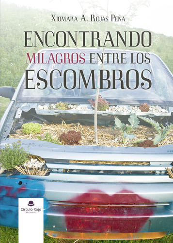 Encontrando Milagros Entre Los Escombros