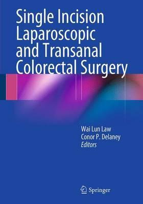 Libro Single Incision Laparoscopic And Transanal Colorect...